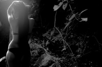 /album/galeria%3a-milagro-ordo%c3%b1ez/hhh2082-jpg1/